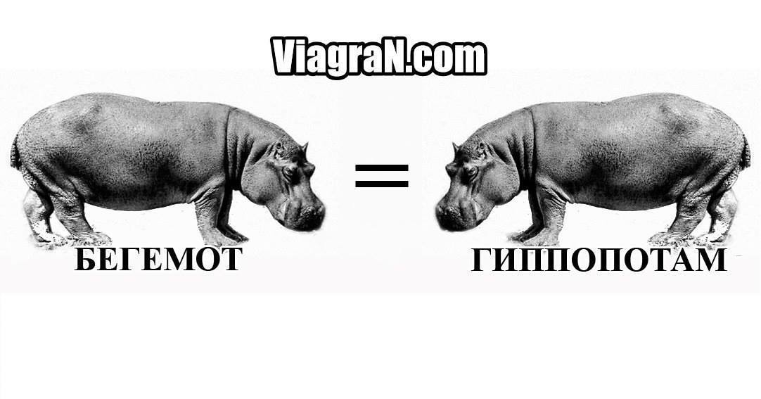 Виагра купить в спб без рецептов для мужчин цена / Таблетки.