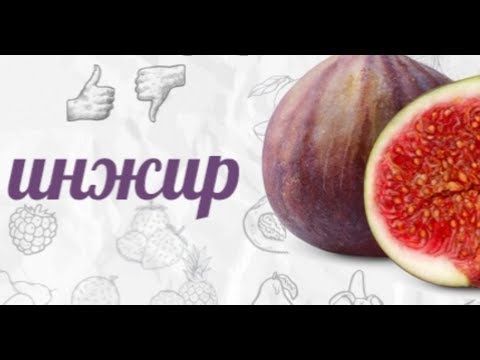 Народные рецепты для повышения потенции травы, настойки